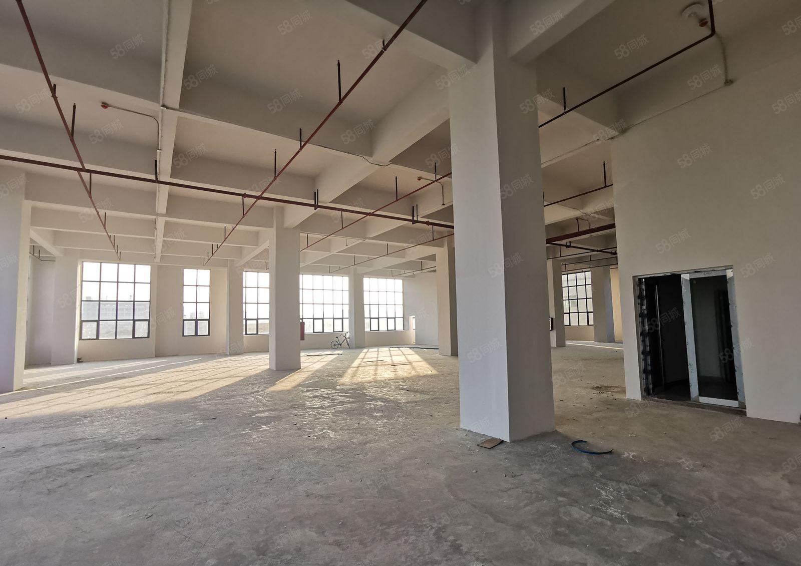 厚街镇，标准全新厂房招租，滴水6米，消防齐全，可办环评。