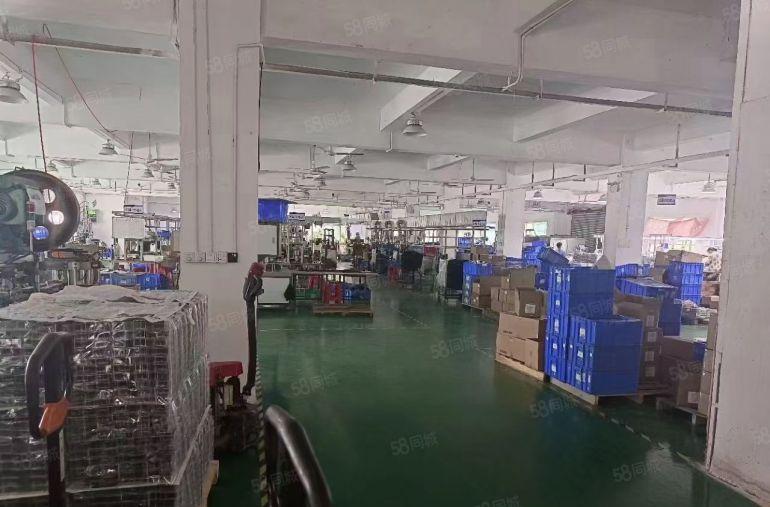 厚街现成装修空地超大厂房方正光线好大路边独门独院厂房