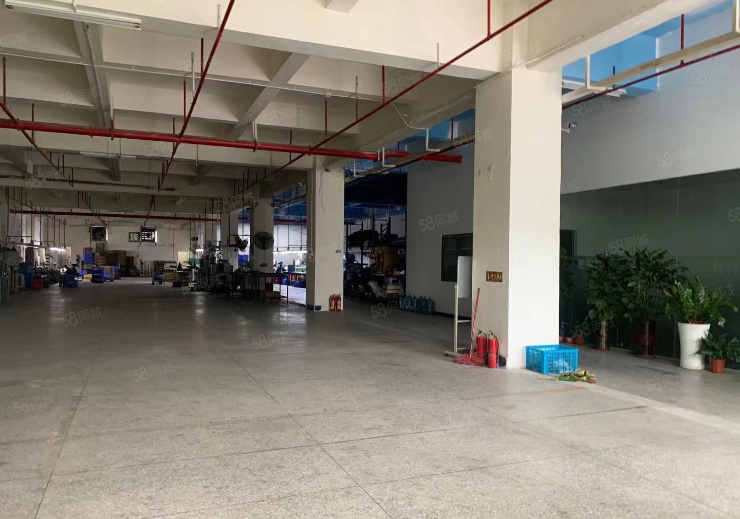 带鞋材环评 厚街厂房出租1380平 可分租 水电齐 仓库出租