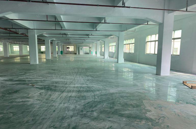 厚街镇西环路2700平大小可分租易招工独门独院交通方便原房东