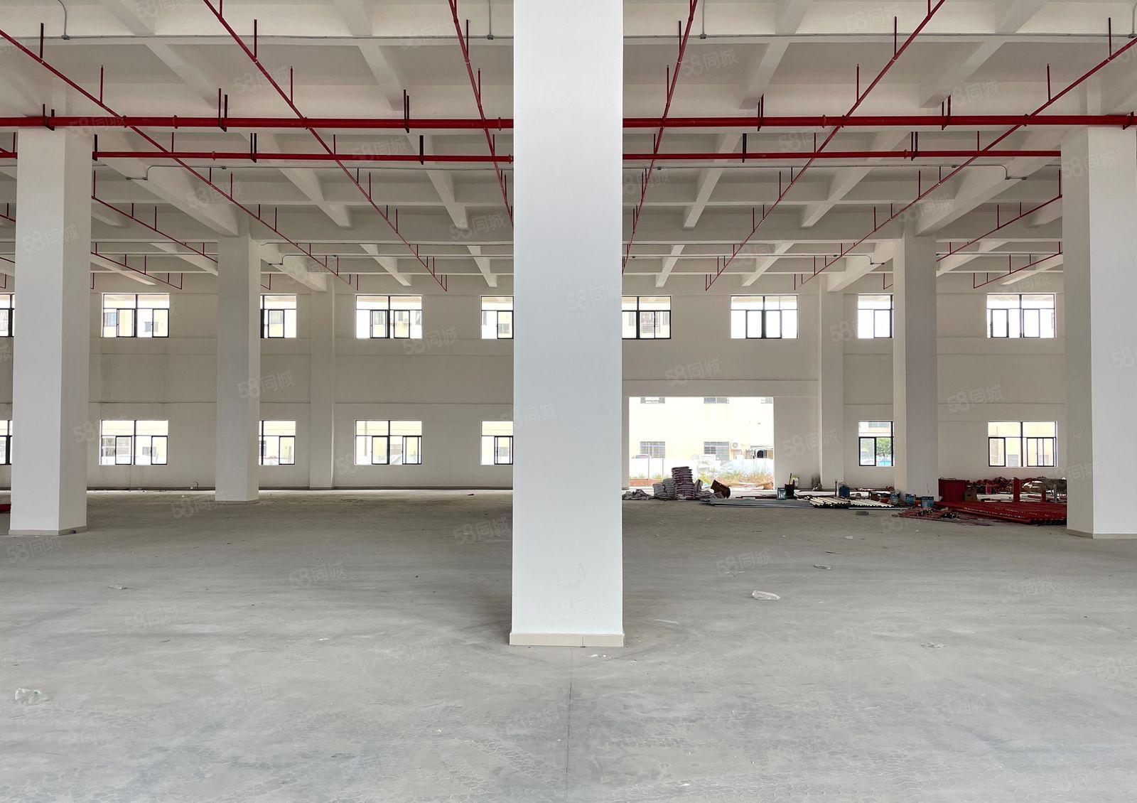 厚街全新独院10000方厂房出租一楼7米适合高端产业