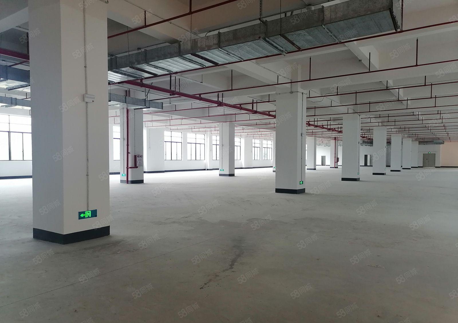 厚街镇新出花园式红本科技园，工业用地可以办环评，形象好空地大