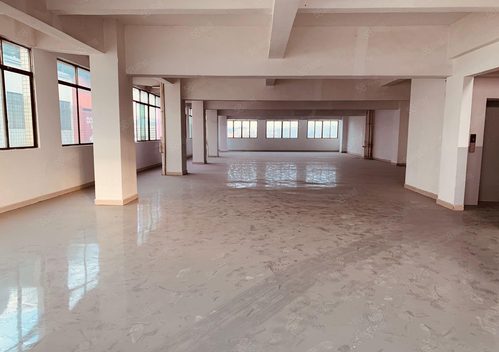 厚街500方全新翻修环氧地坪漆厂房