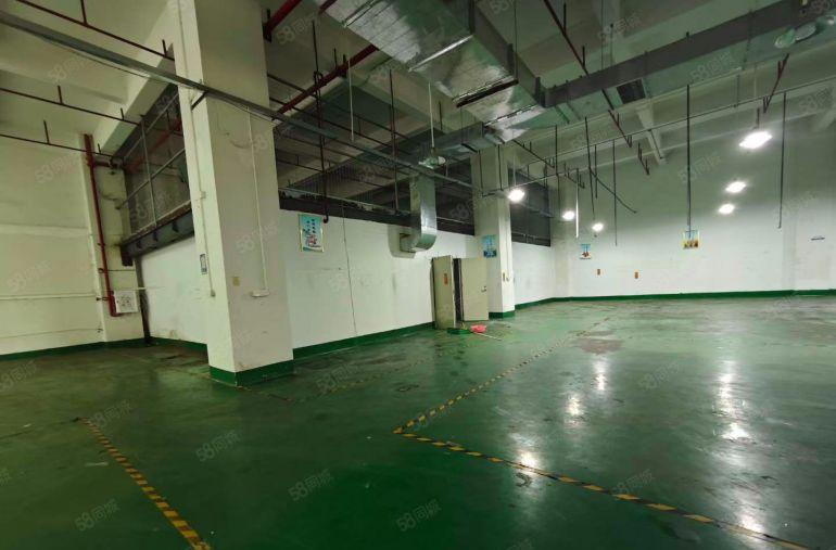 原房东高6.5米一楼厂房出租 现成办公室水电适合五金注塑模具