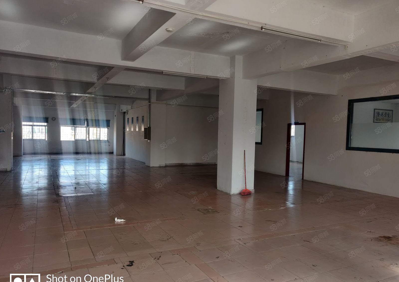 厚街村新出厂房5楼700平，路超大随意进车，价格美丽