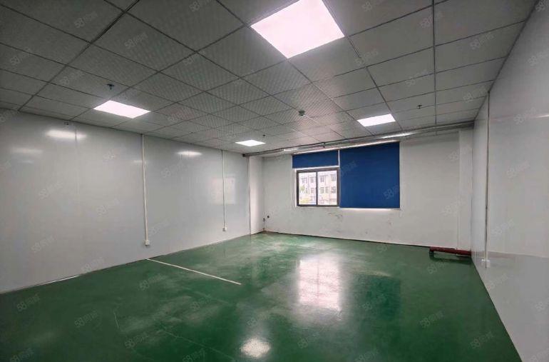 厚街 园区楼上精装修厂房出租 适合直播 电商 贸易 办公电子