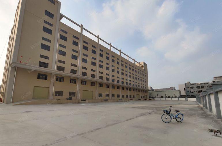 厚街独院 带卸货平台全新标准厂房 层高10米 空地大 原房东