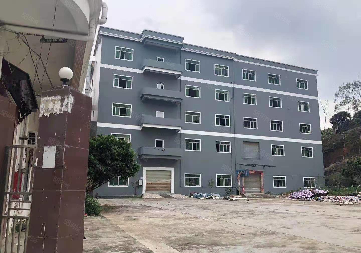 独门独院6000平方环评环保厂房