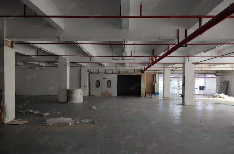 厚街标准独门独院厂房  空地大 适合电子 五金 鞋材 家具