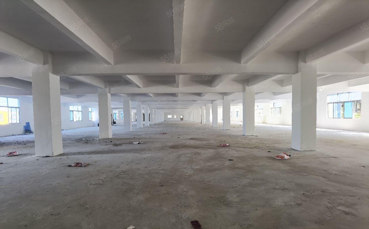 厚街陈屋莞太路600平高标准装修独门独院一楼