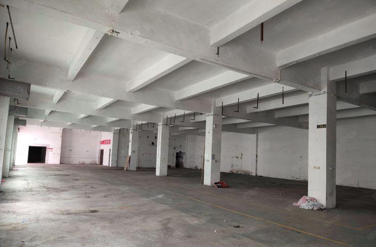 厚街原房东标准独院厂房 空地大 适合电子 五金 机械 鞋材