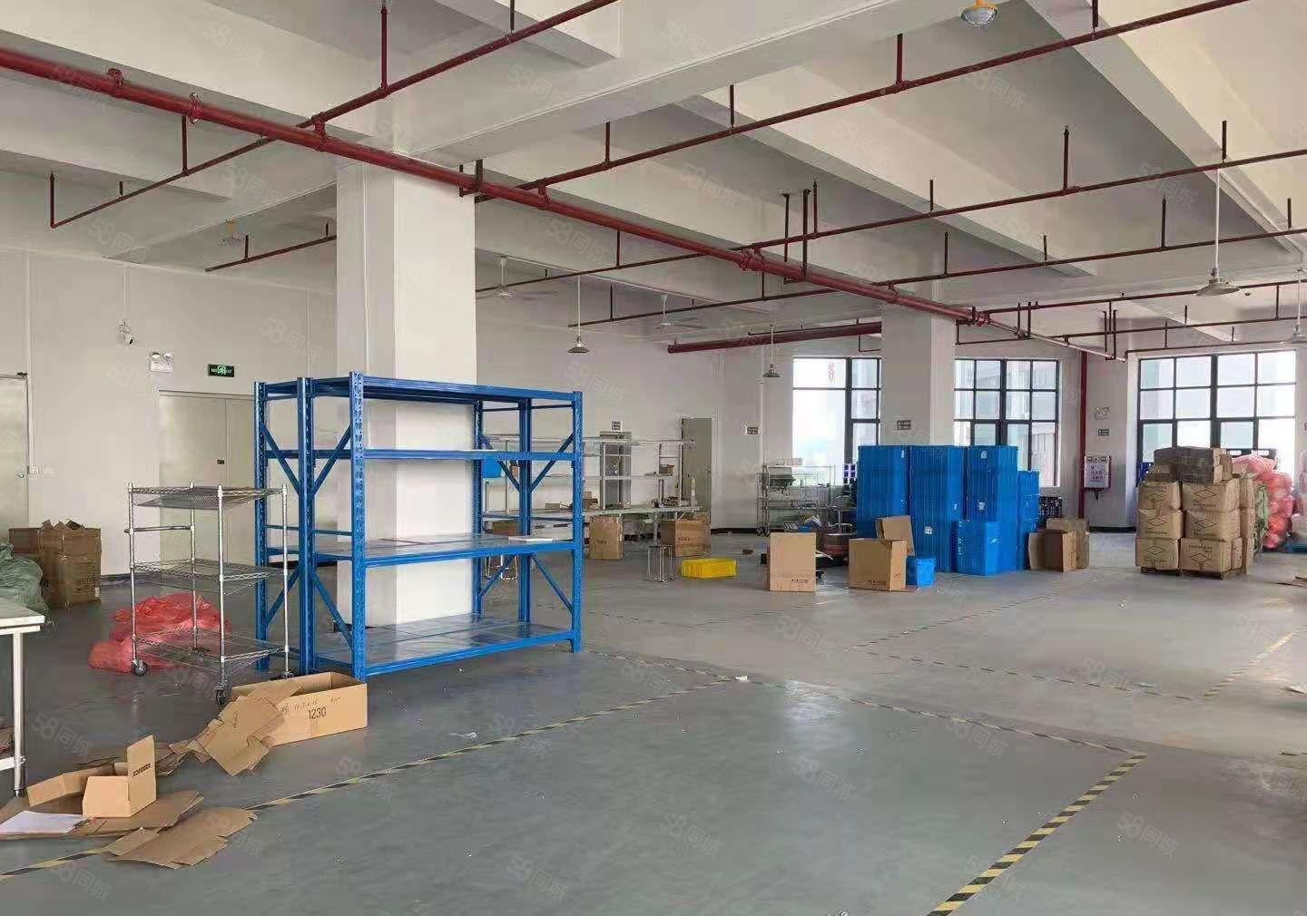 厚街新空出2700平方一楼带装修厂房出租可办环评工业用地