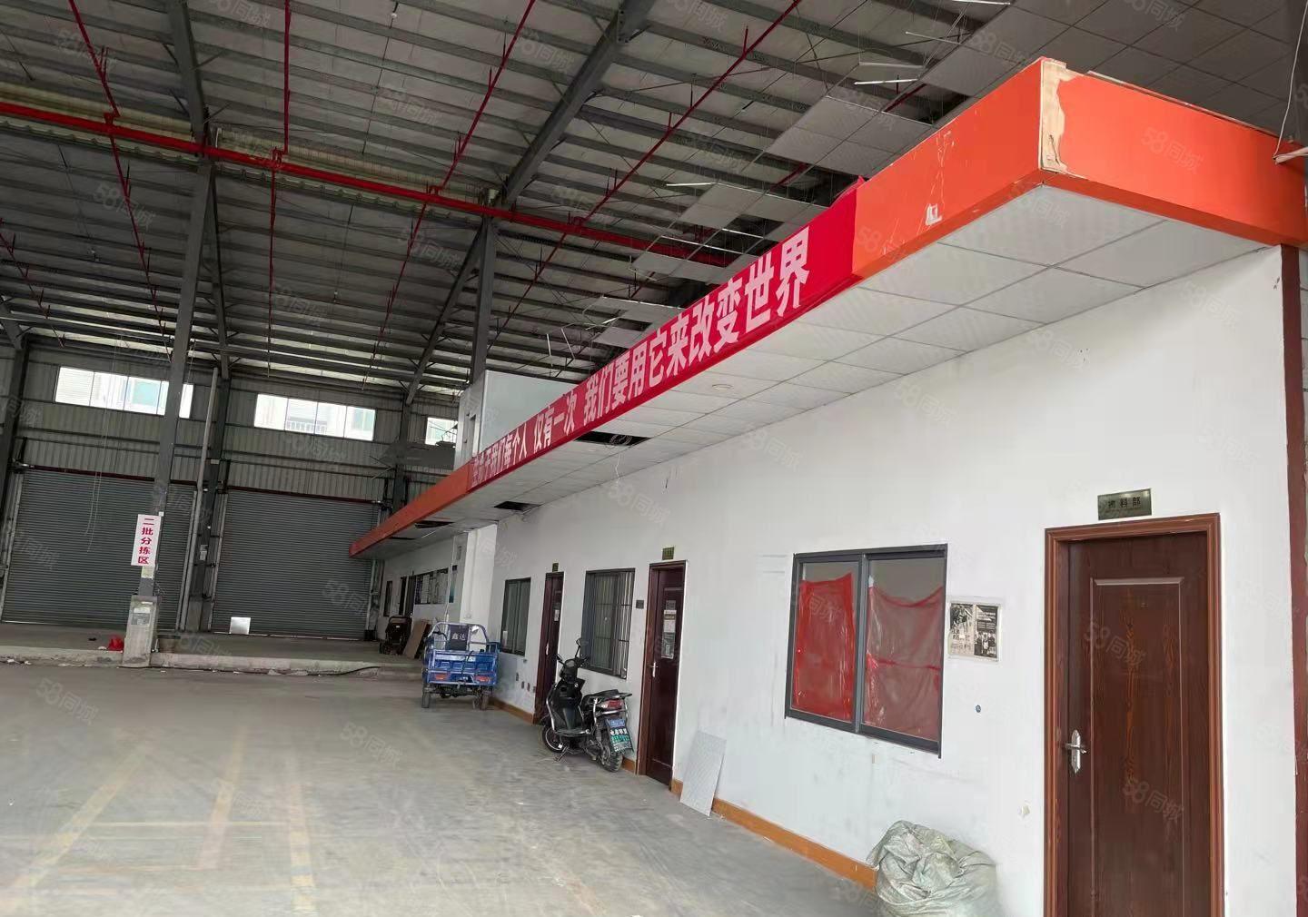 厚街新出单一层钢构厂房2600平方出租，高度12米