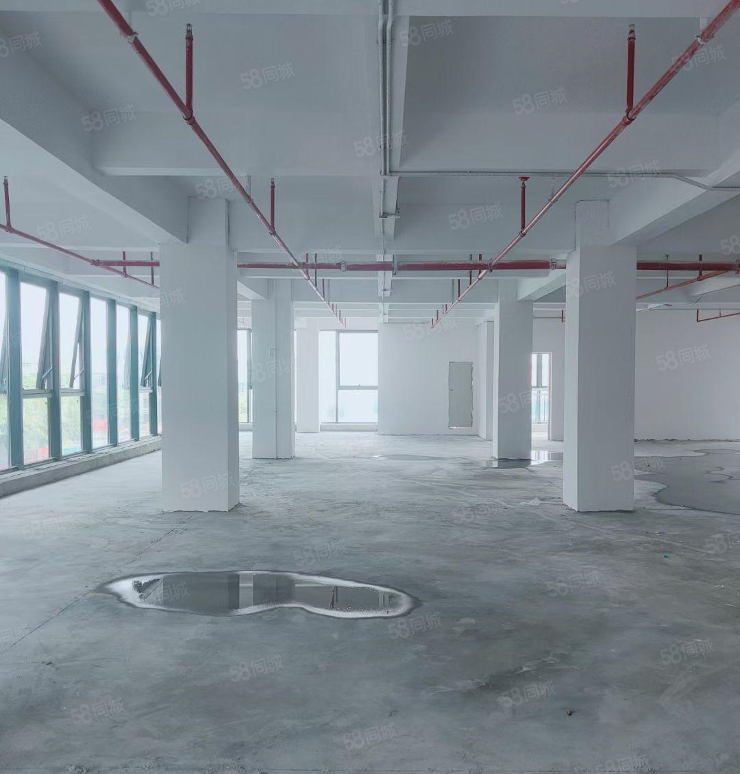 免租期6个月厚街全新厂房出租适合高端研发电商直播