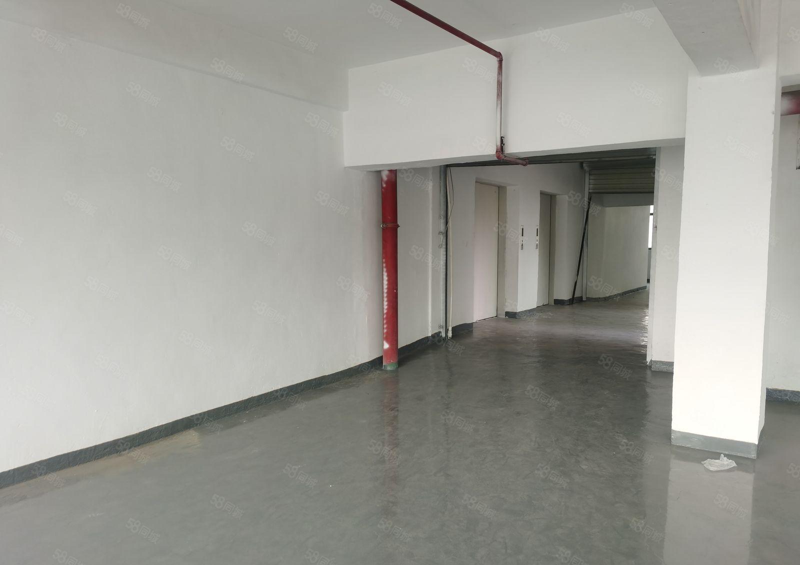 园区超大空地厂房低价出租