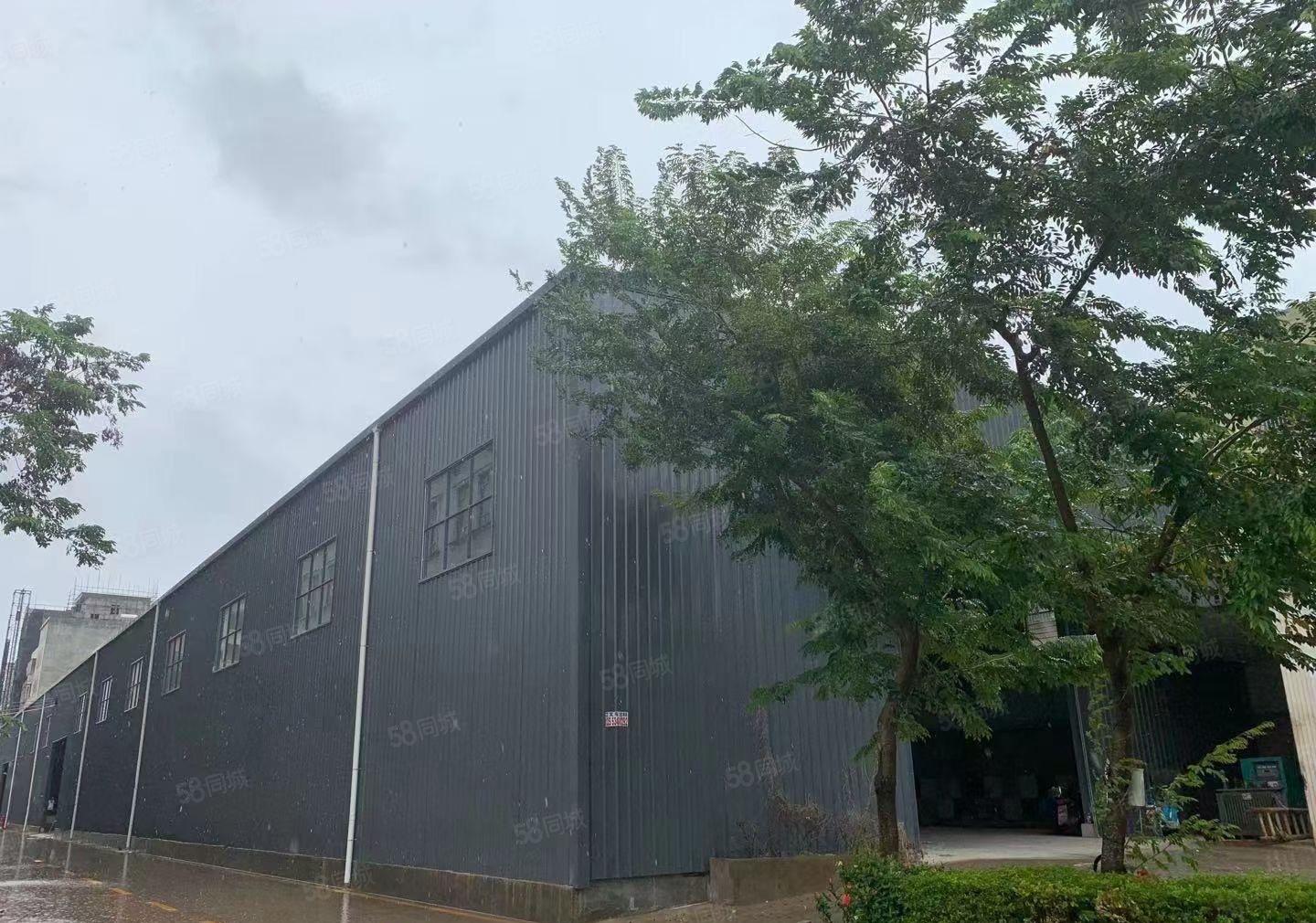 东莞新出花园式原房东厂房3880平方滴水10米出租