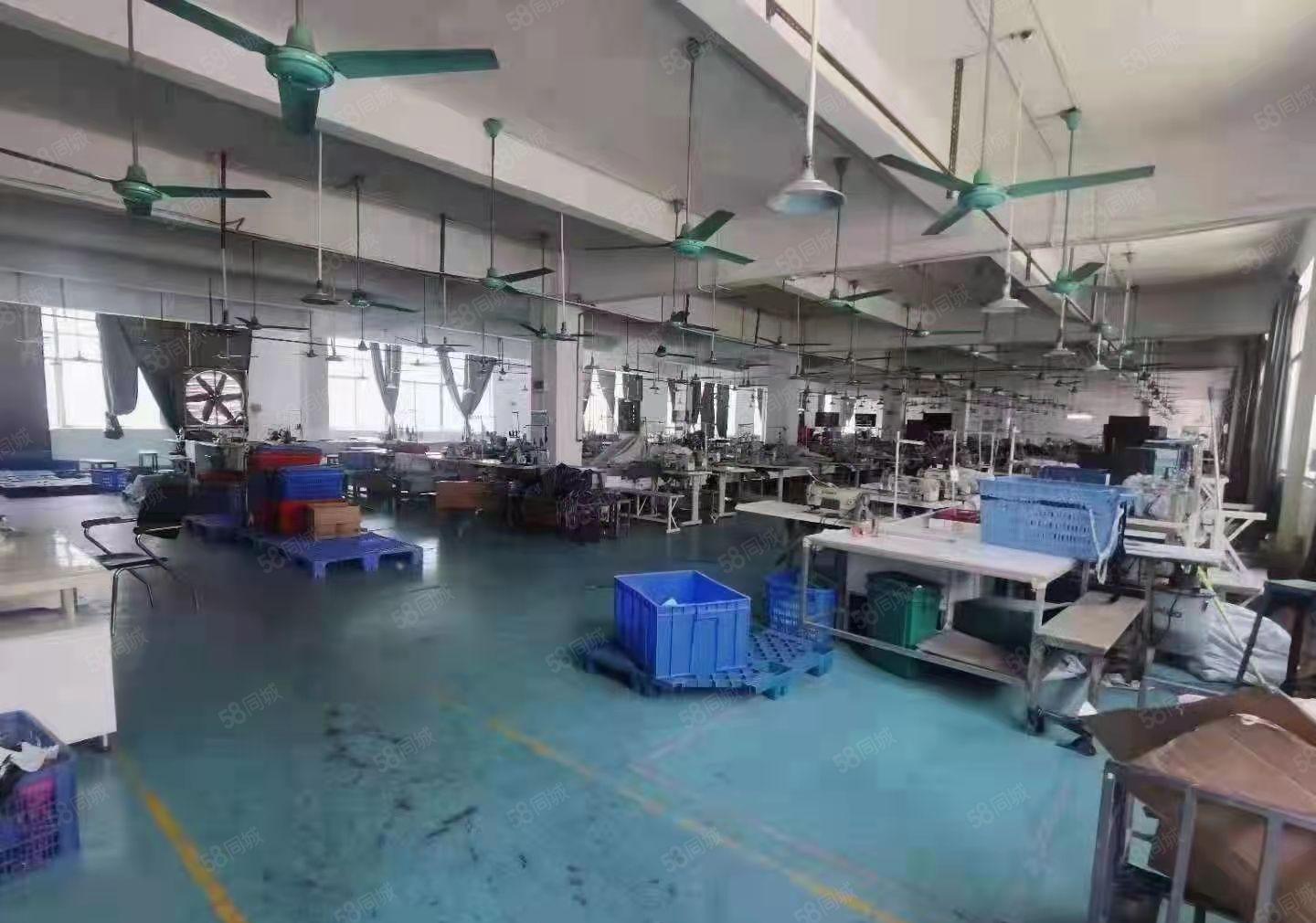 独栋厂房仓库出租1500平方450起分租水电线路齐全靠大马路