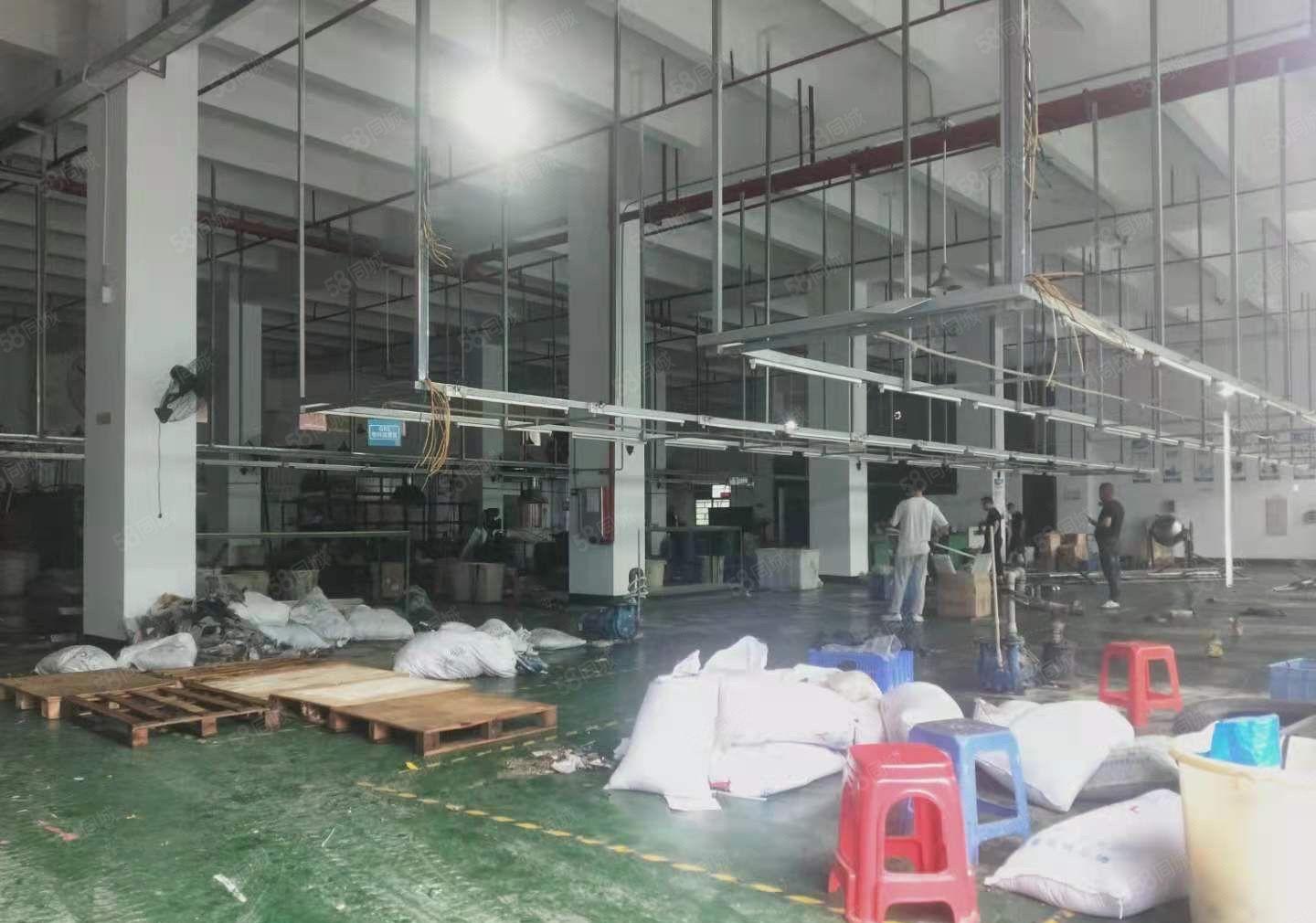 厚街原房东1725平方一楼6.5高精装修形象好水电齐全厂房