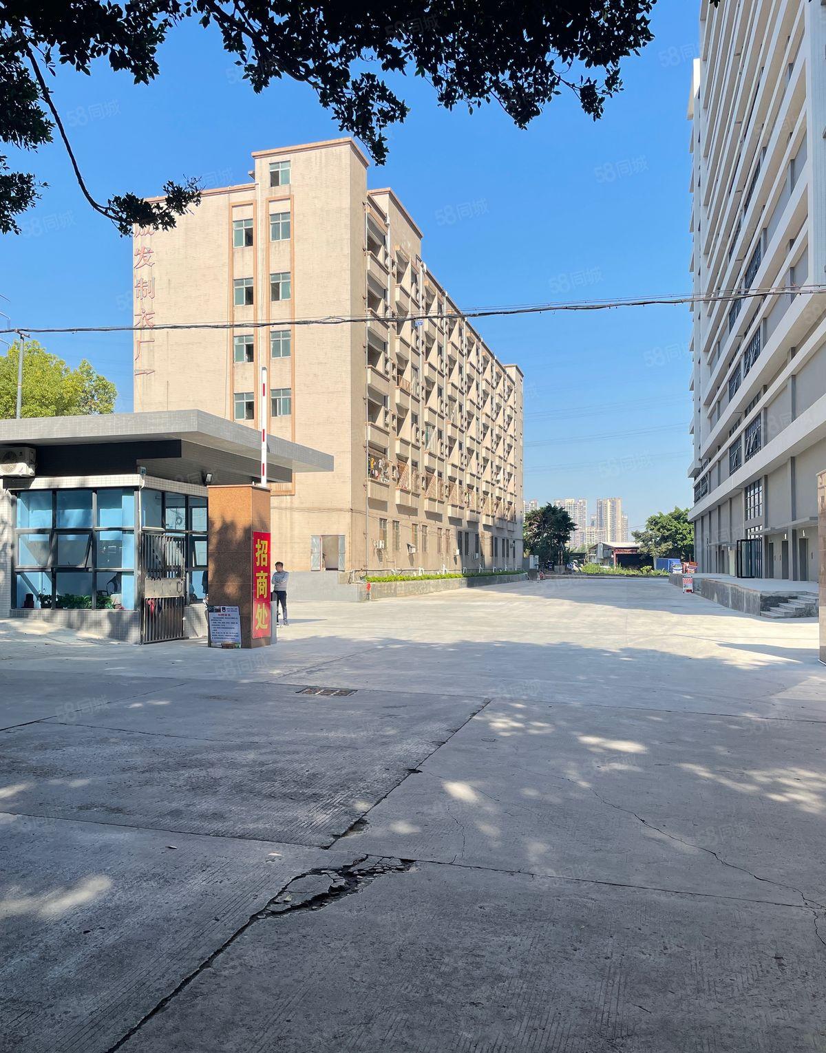 急租厚街实图（全新）独院2楼7500方厂房出租繁华好招工