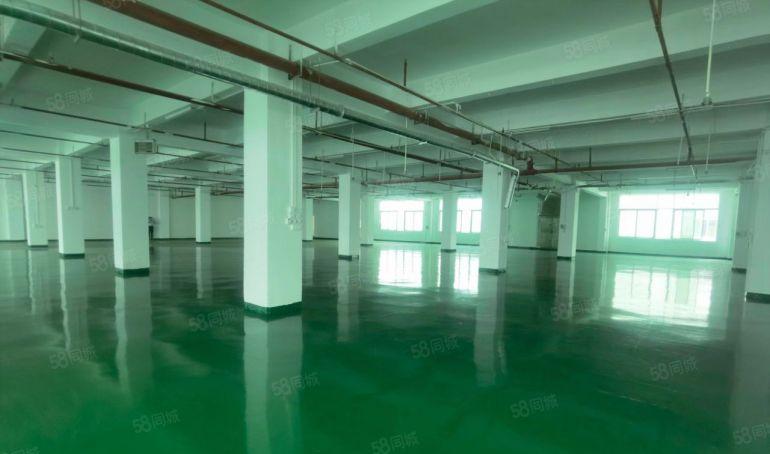 厚街厂房出租全新地坪漆1750平米适合电子，五金，包装