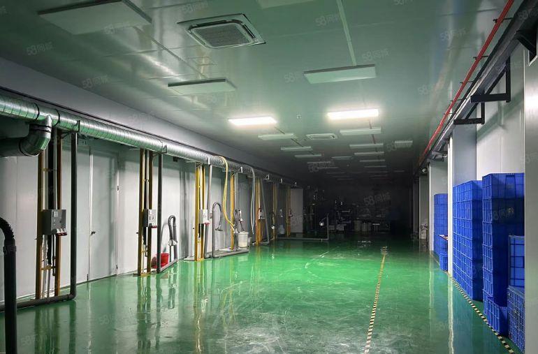 厚街园区新出一楼1500平方厂房带现成豪华装修办公室拎办入驻