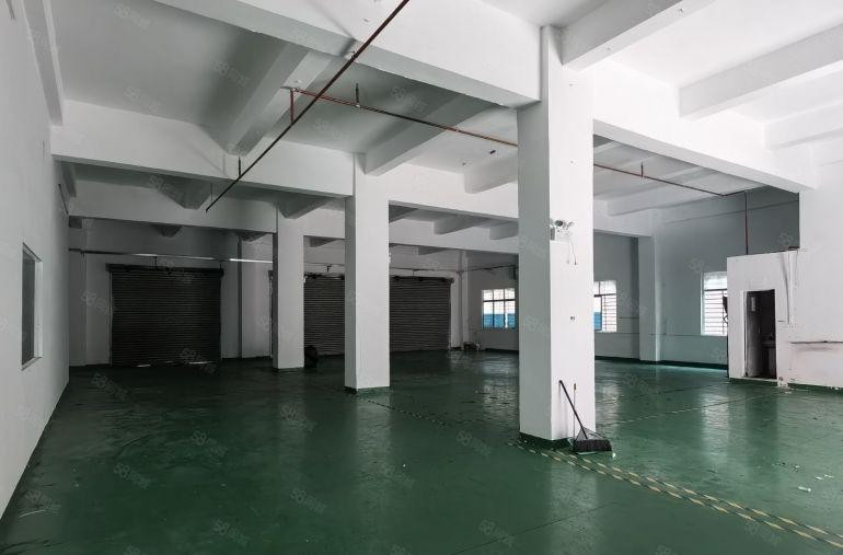 厚街三屯厂房一楼700平方13块带精装修办公室现成水电地坪漆