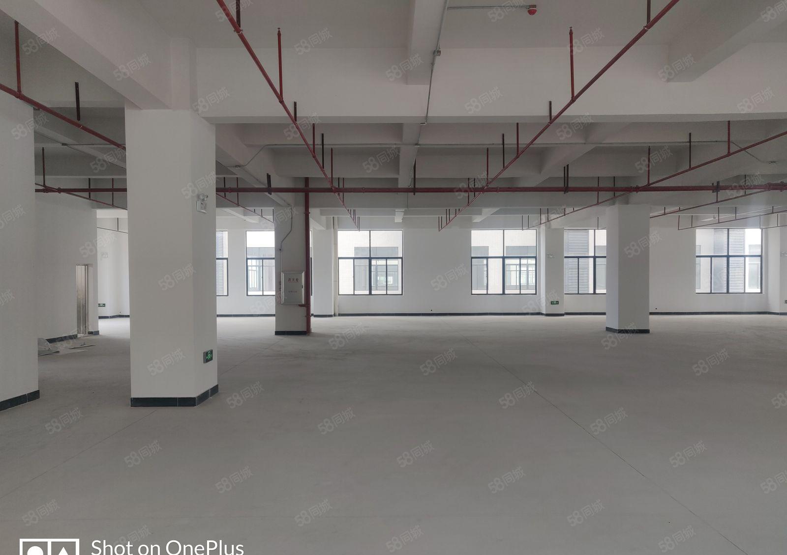 厚街全新厂房，有红本，工业用地，园区空地大，停车位足，电充足