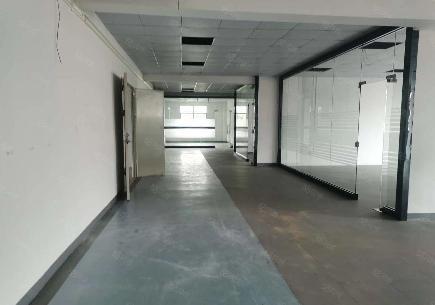 厚街桥头新出原房东精装修1350平方厂房水电齐全