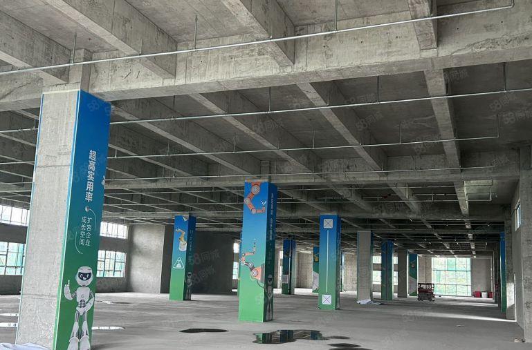 出租|开发商直租无公摊滨海湾全新现楼红本厂房大小任意可分割