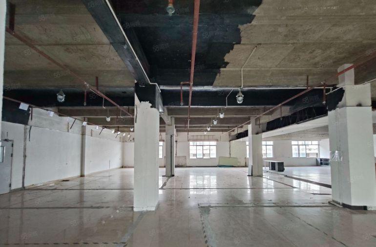 厚街楼上厂房出租 空地大 现成办公室 适合各种行业