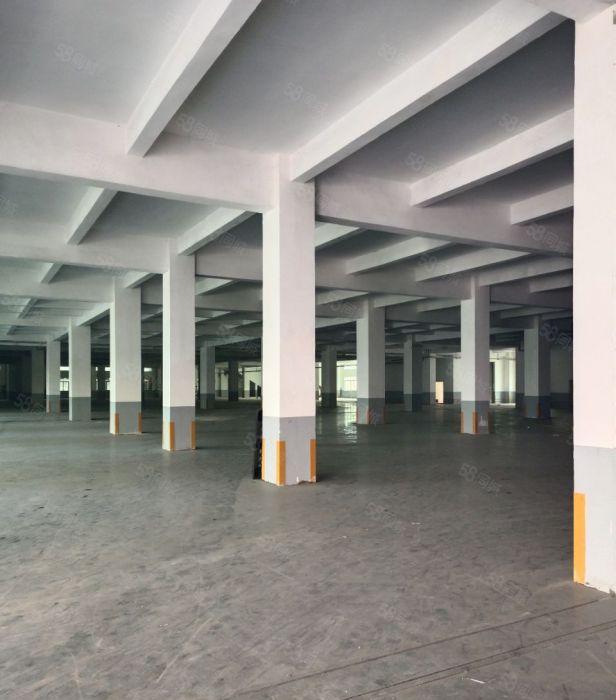 出租厚街形象好的单一层独院厂房，全新精装修车间，空地大好停车