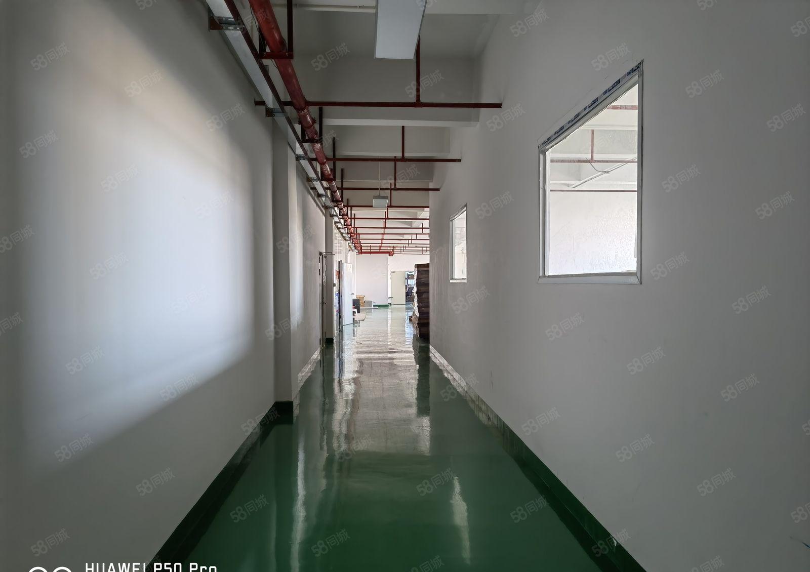 厚街新出精装现成办公5楼1350平原房东工业园厂房分租