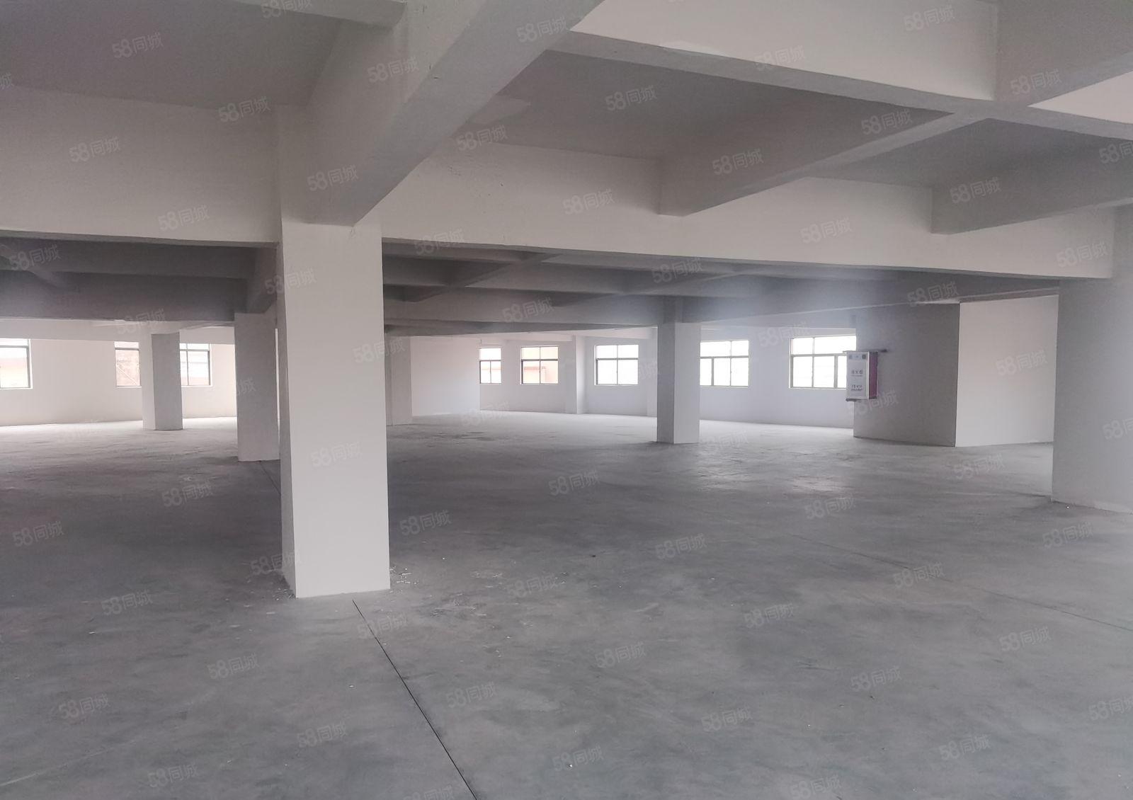 花园式厂房出租28000平 空地大 可分租