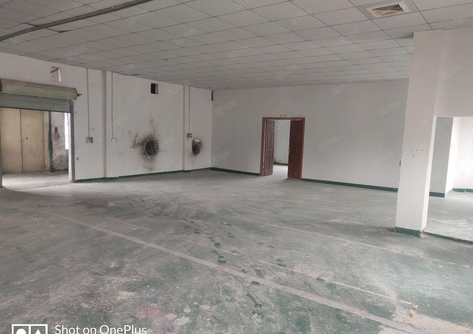 厚街桥头新出厂房，适合各行各业，能进大车，水电齐全，无柱子