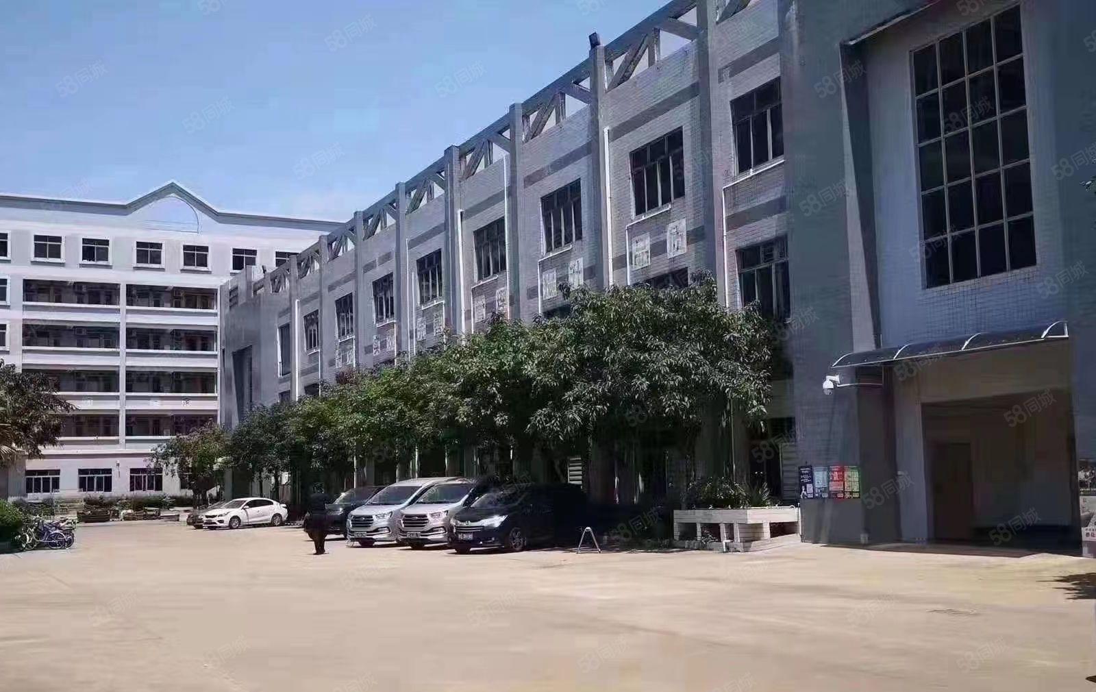 厚街花园式一楼厂房仓库出租3360平方大小可分租靠近高速路口