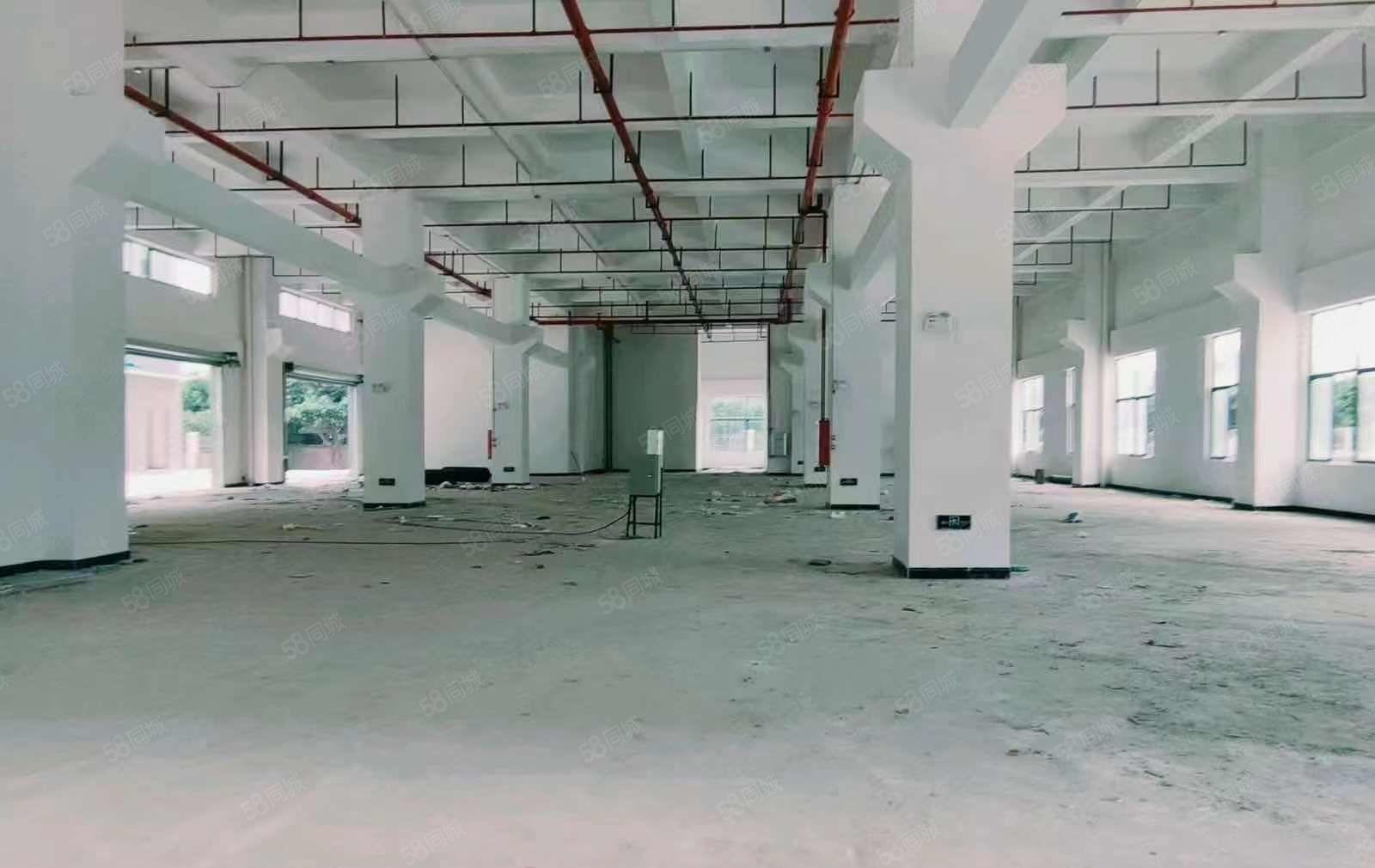 厚街全新独院重工业厂房 层高7米带牛角