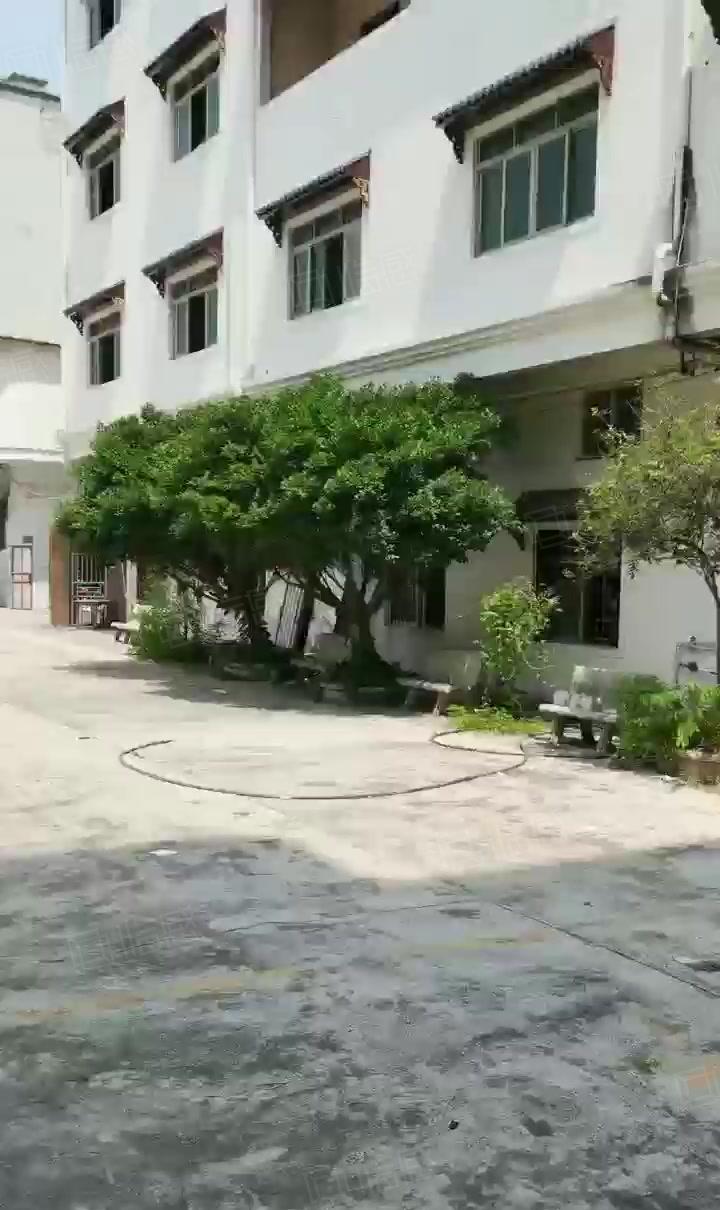 独门独院6000平方环评环保厂房