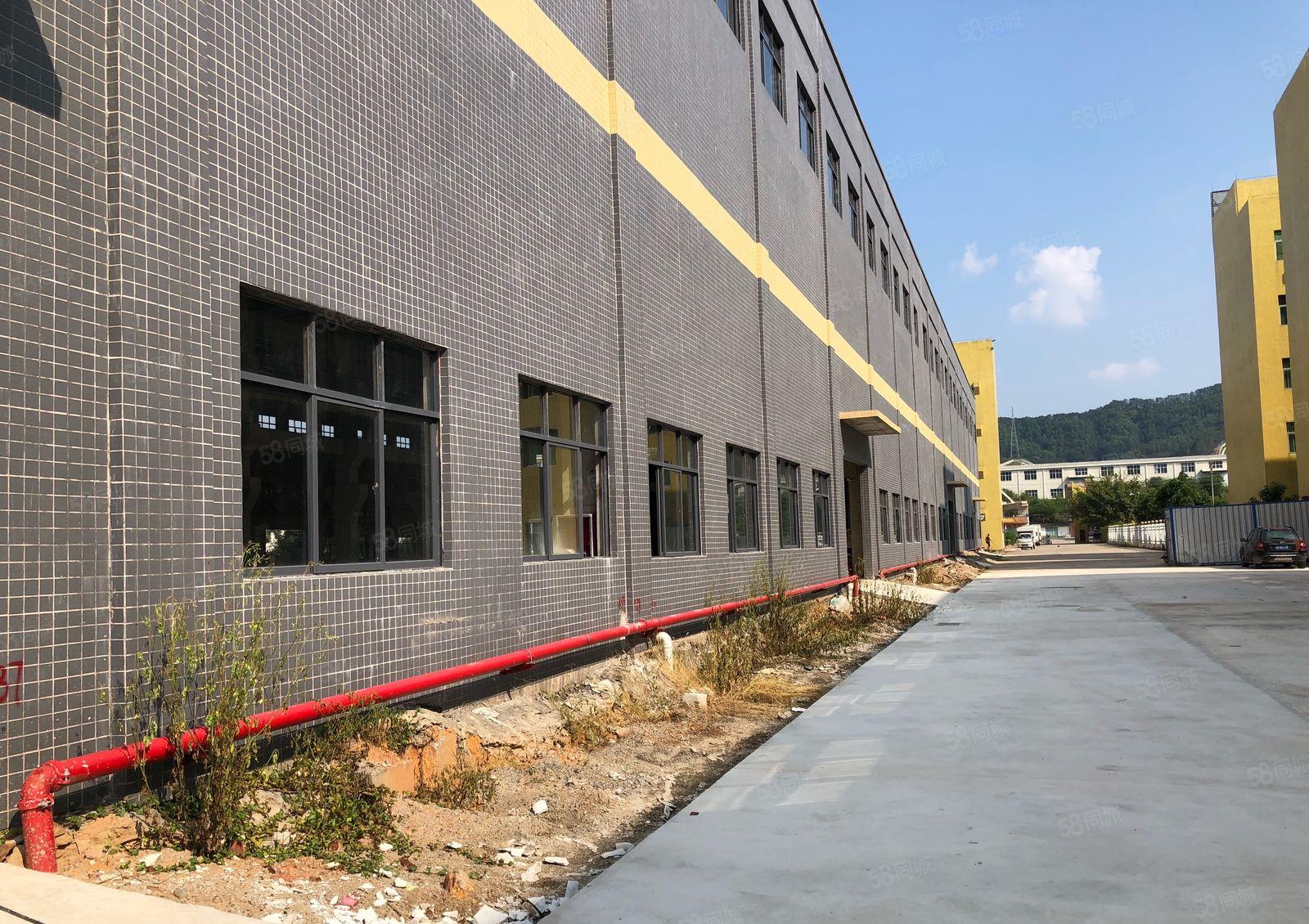 厚街镇桥头社区新出全新钢构9800平米招租