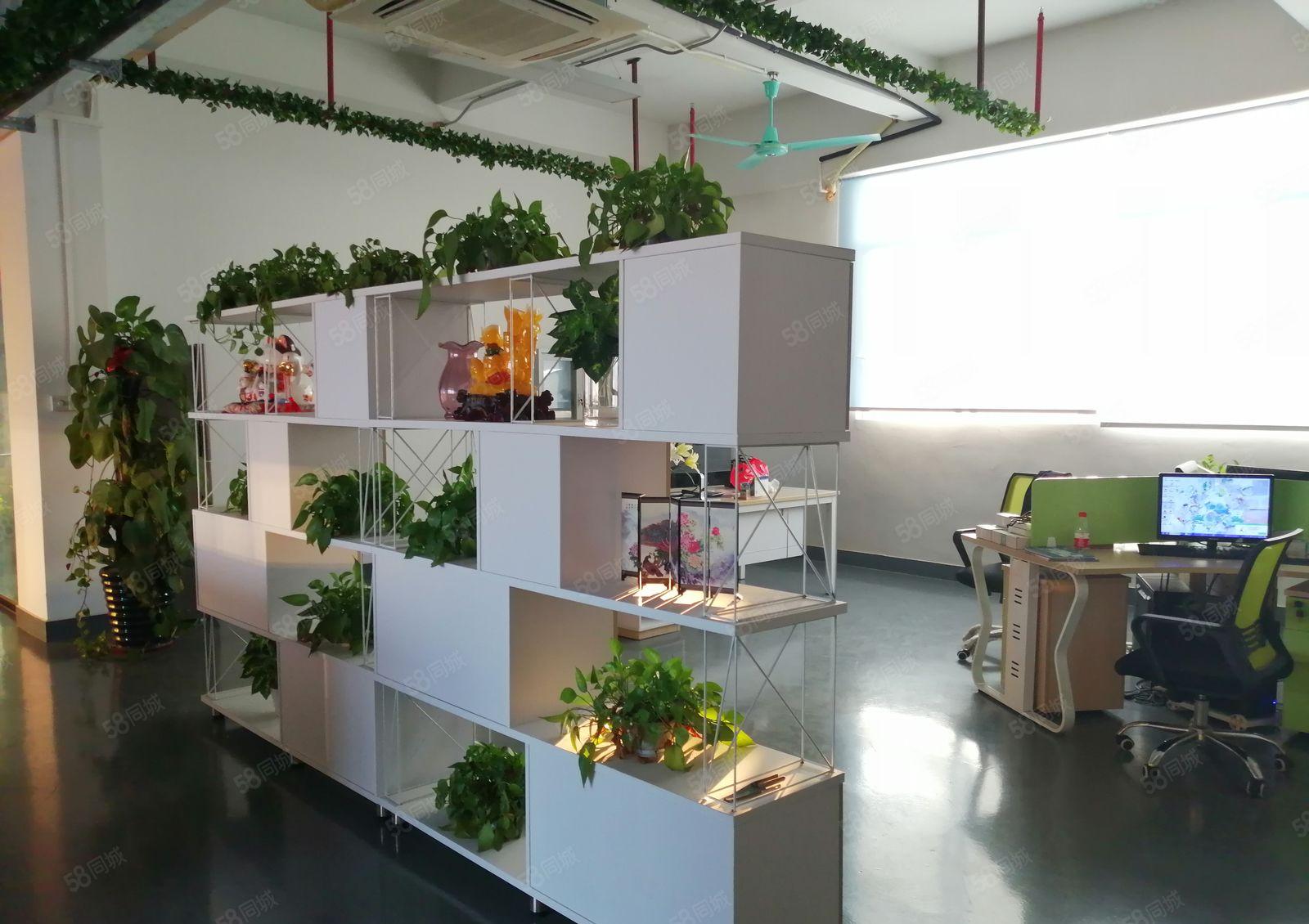 全新地坪漆厂房1350平方，现成精装修办公室个人厂房出租