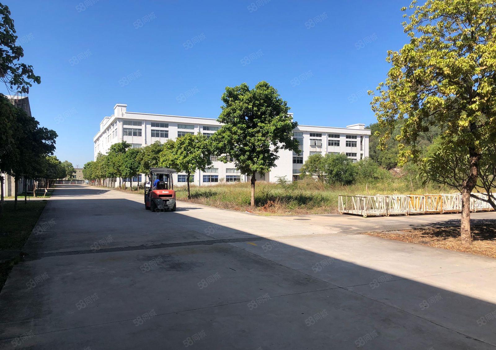 厚街镇红本厂房53000平米招租