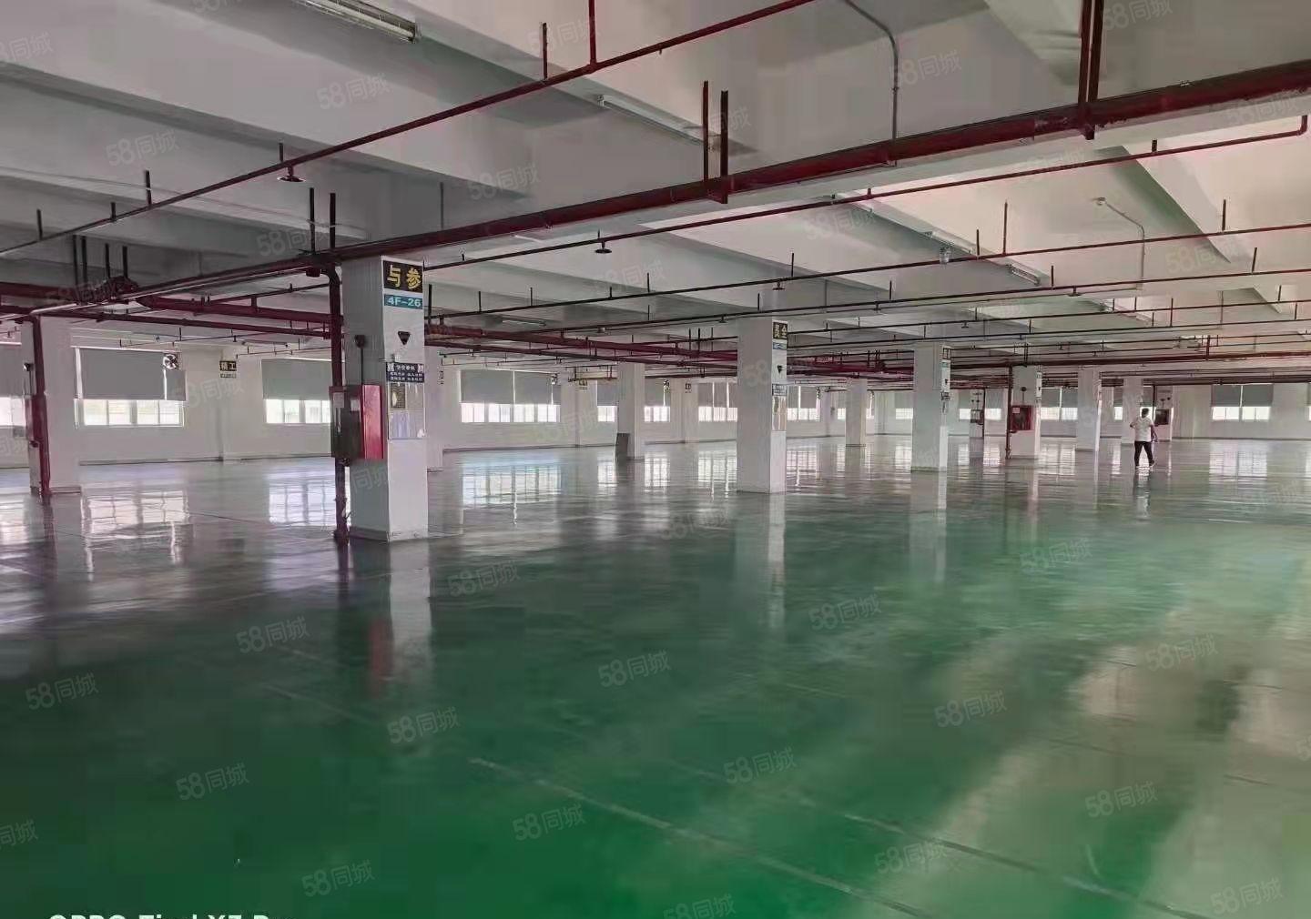 厚街新出独门独院厂房仓库出租4500平方大小可分租水电齐全