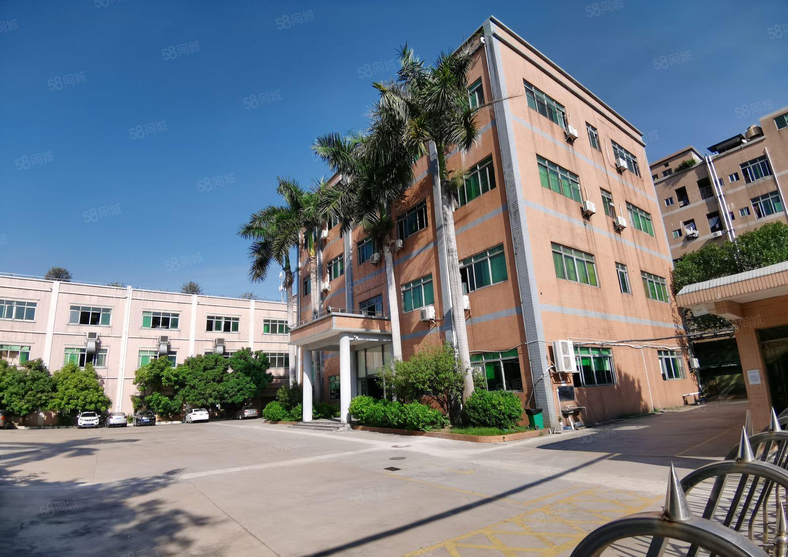 原房东一楼3000平6米高空地大形象好水电费自己交