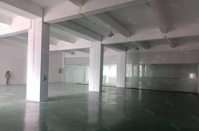 厚街新出一楼1000平精装工业厂房出租仓库出租主线到位空地大