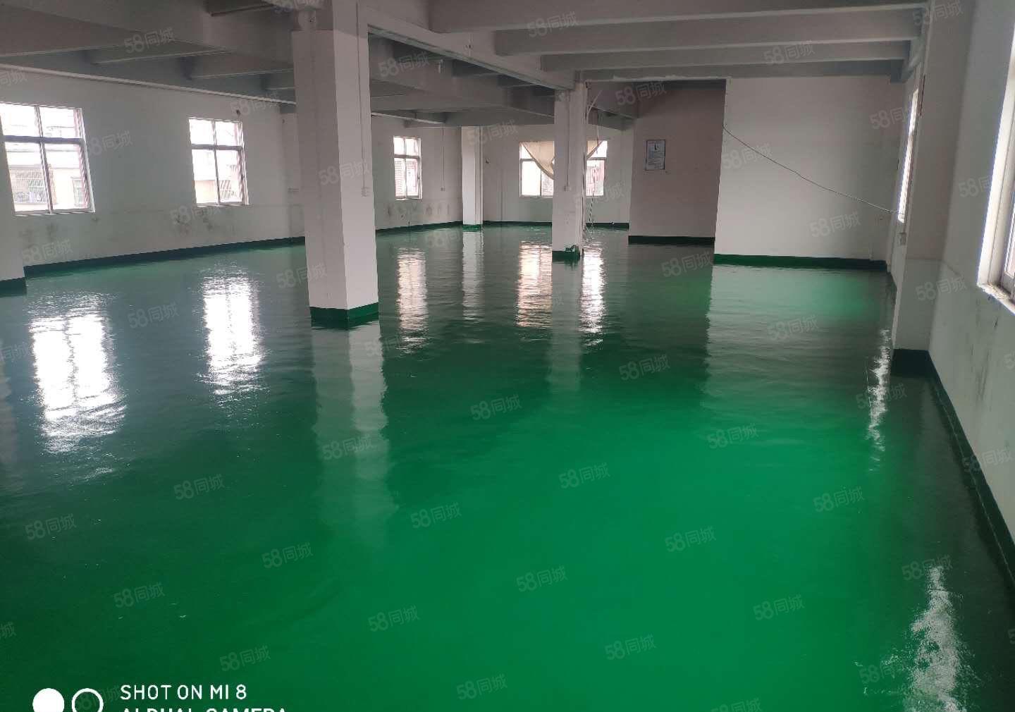 厚街新出原房东325平水电齐全精装修