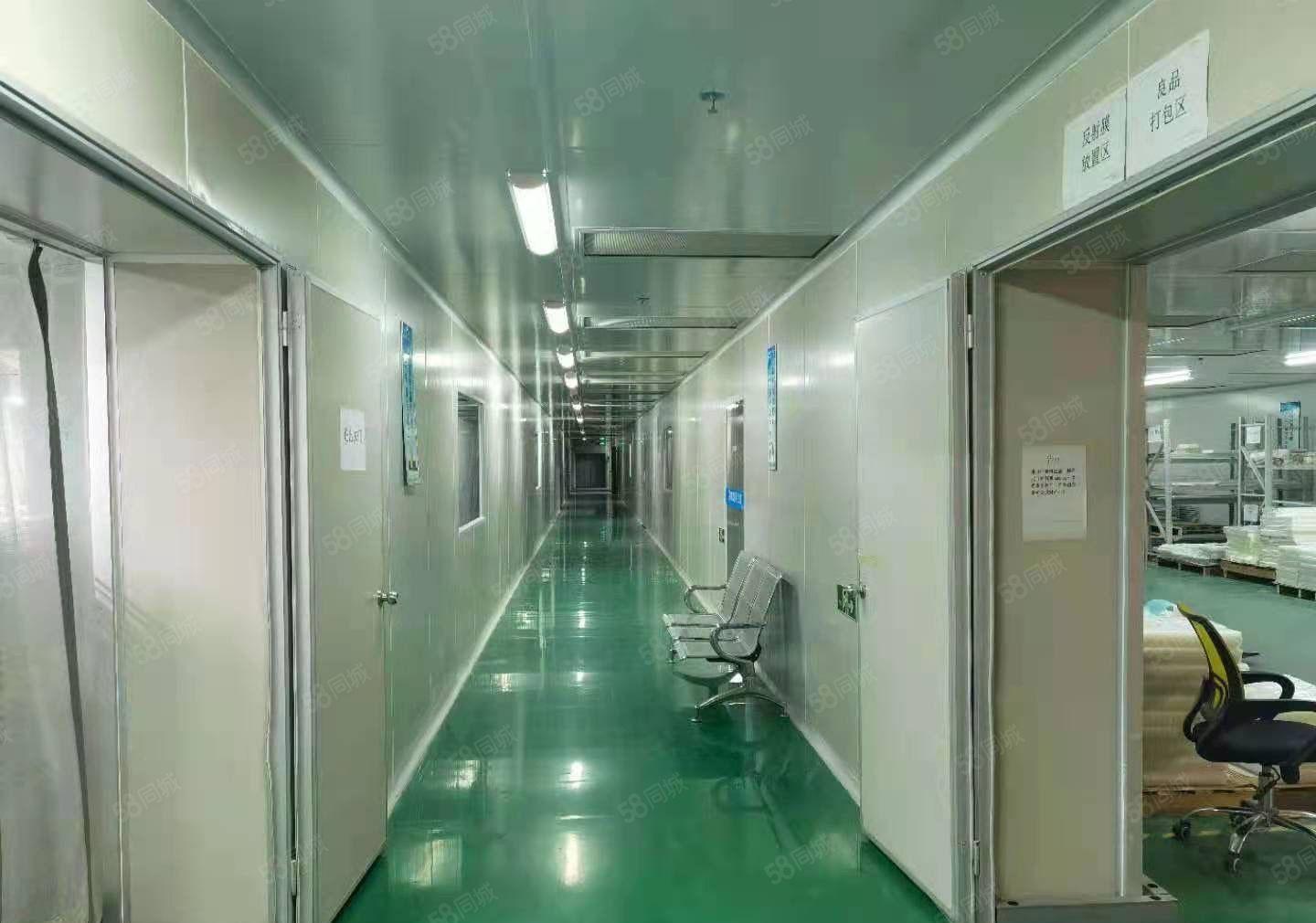 厚街厂房出租十万级无尘车间2000平方可办环评