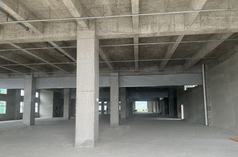 出租|开发商直租无公摊滨海湾全新现楼红本厂房大小任意可分割