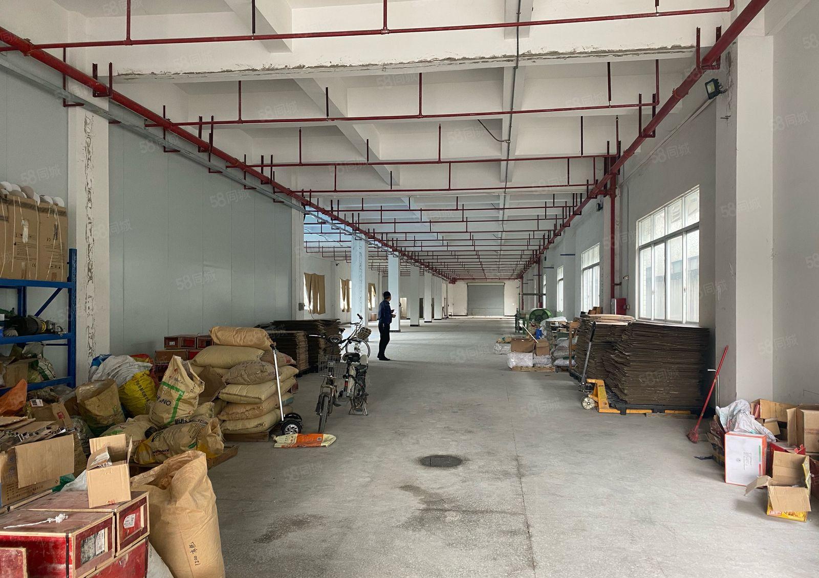 原房东 全新厂房 交通方便 空地大 2吨电梯