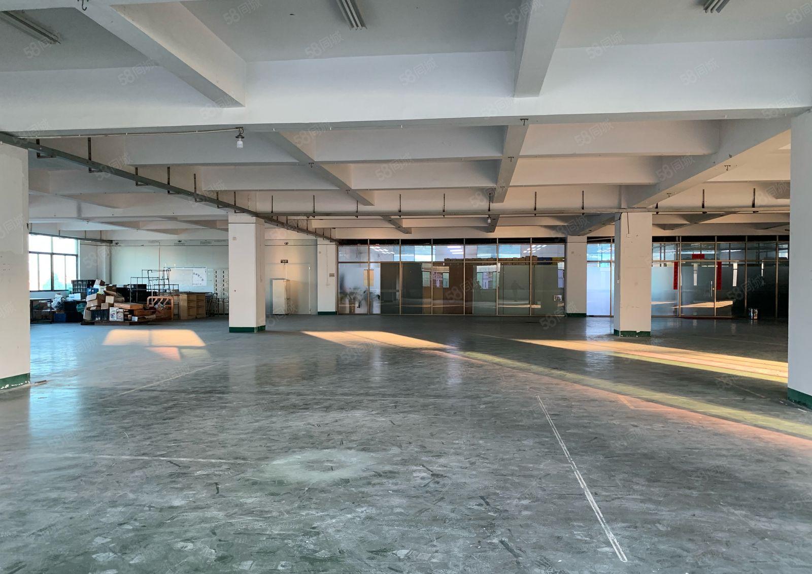 厚街汀山原房东工业园1500平方实际面积厂房出租仓库出租