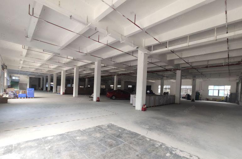 厚街标准一楼厂房 高5.5米 适合仓库 注塑 五金 纸箱