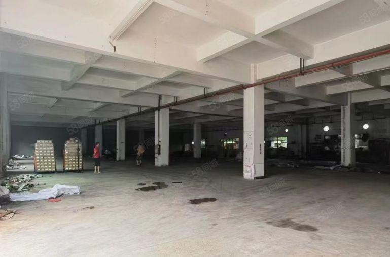 厚街 白濠村园区一楼1100平 适合注塑 重型设备 五金加工